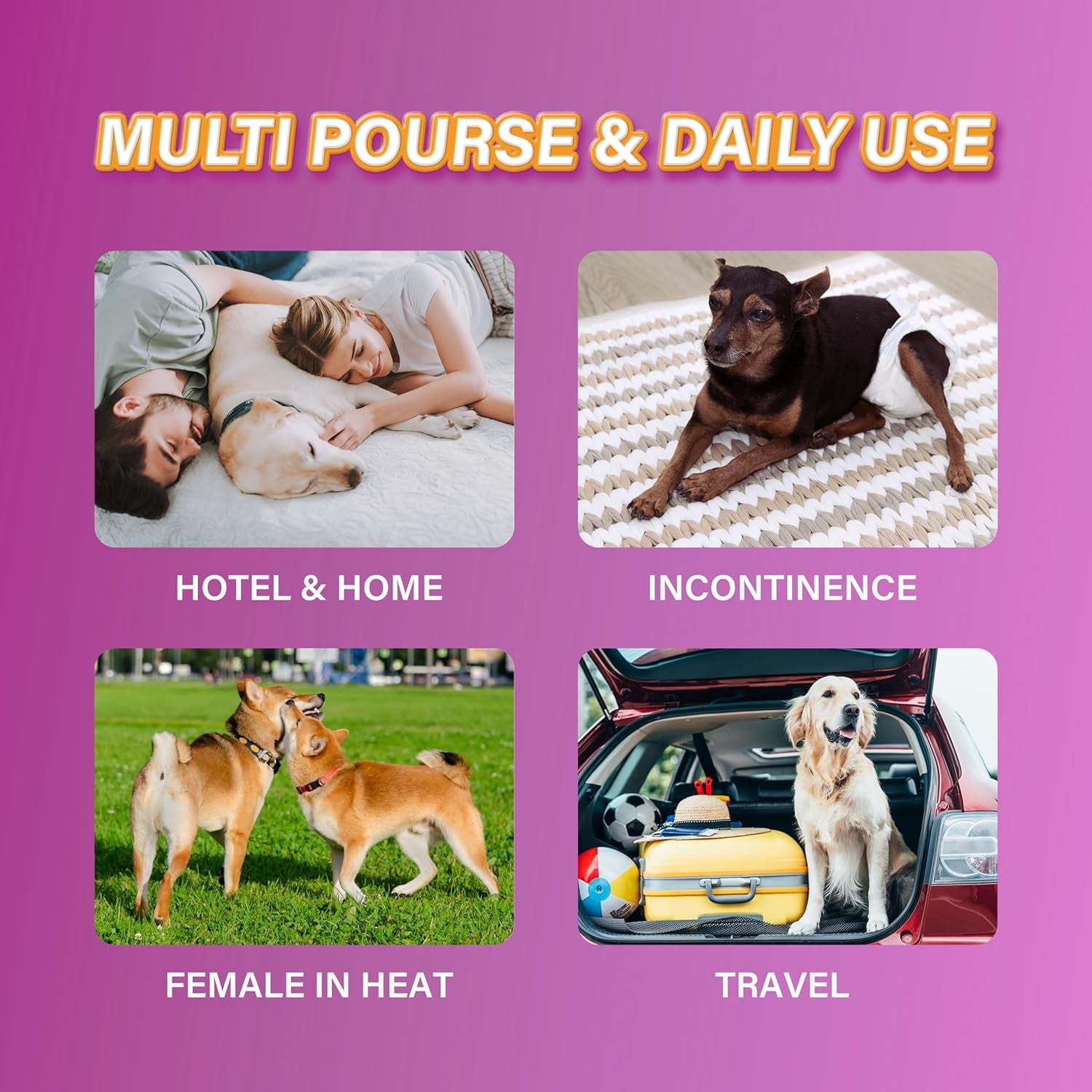 All-Absorb Disposable Female Dog Diapers L Size, Improved Bigger Size, 22 Count, Super Absorbent, Breathable, Wetness Indicator, Packaging May Vary