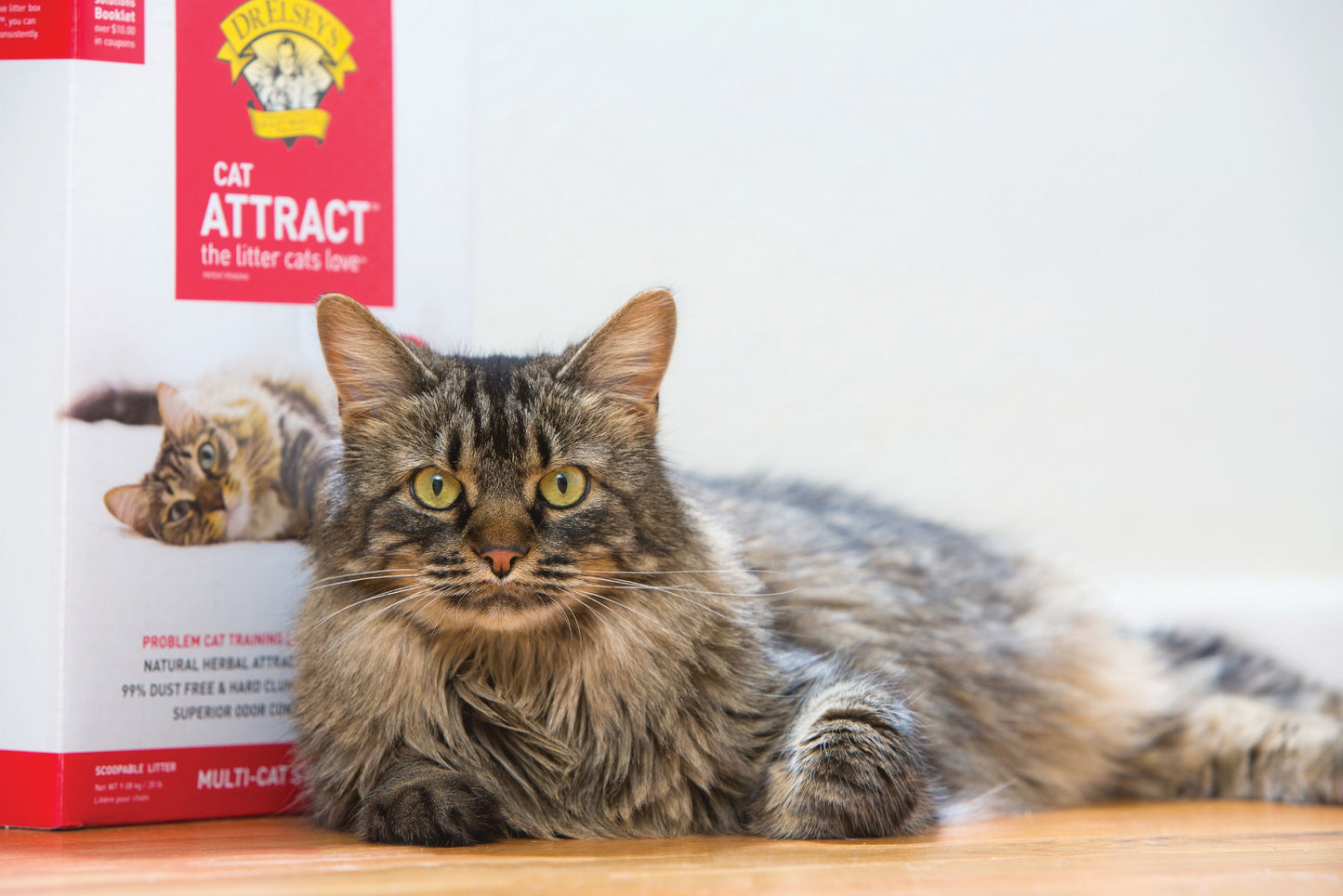 Cat Attract Natural Clumping Clay Cat Litter, Unscented, 20 Lb Box