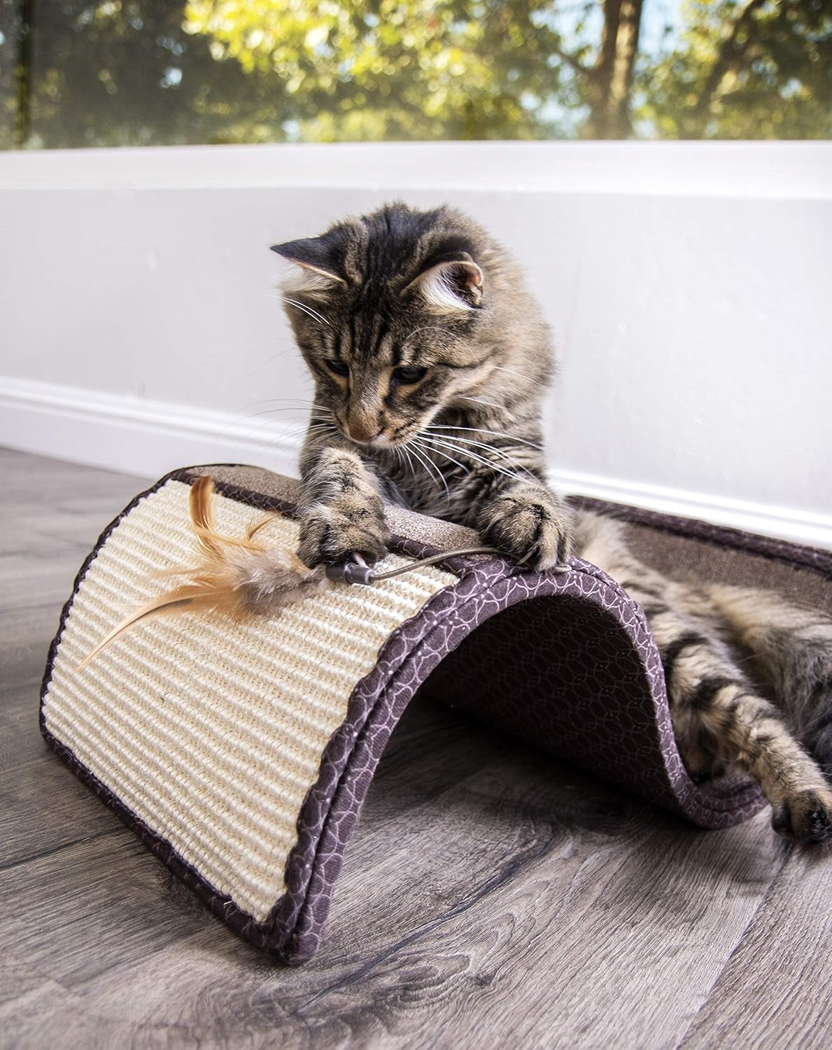 Scratch Scroll Sisal & Carpet Curled Cat Scratcher for Indoor Cats & Kittens, Features Feather Toy for Play, Looped Carpet Material, Gray