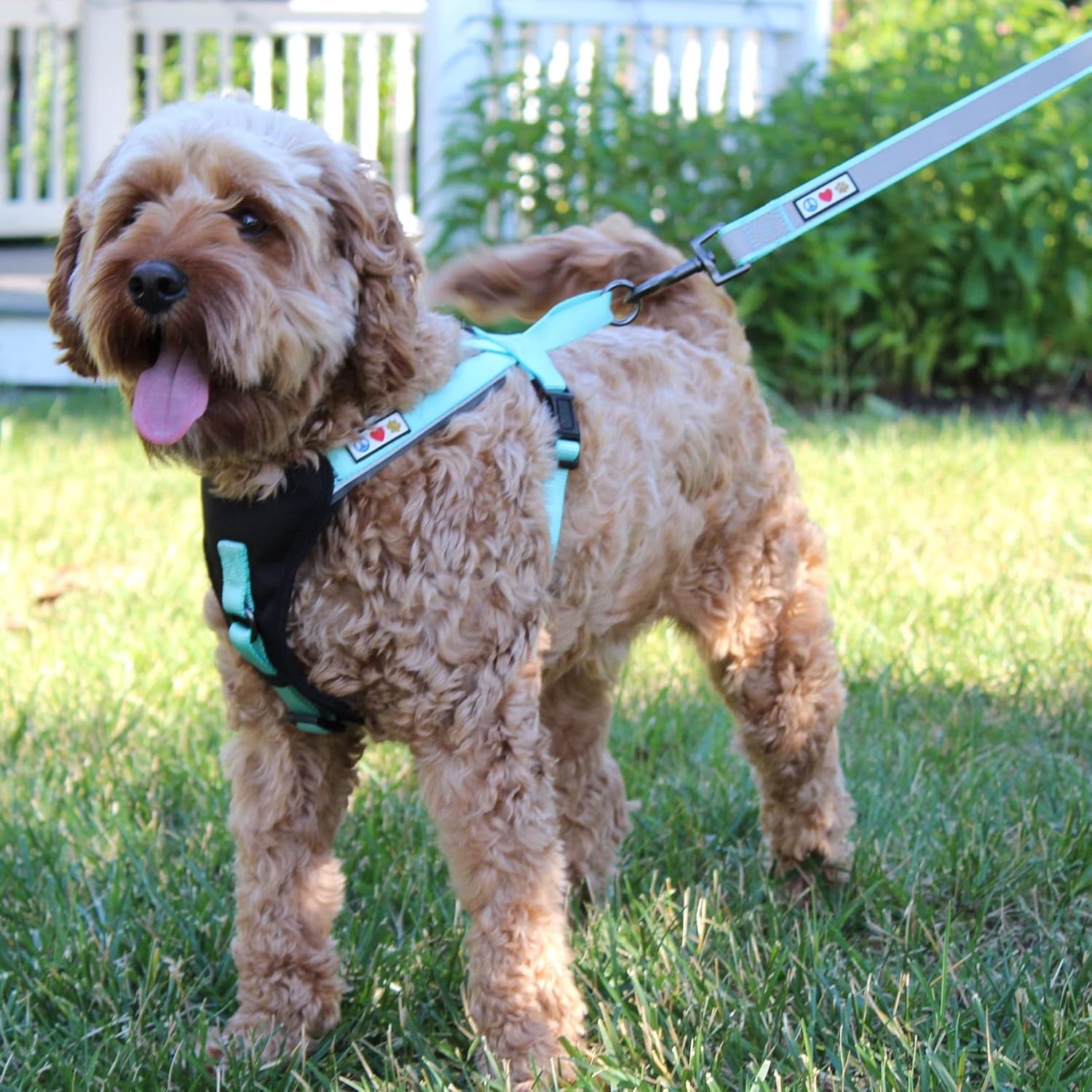 Reflective Dog Harness Padded Dog Harness Provides Comfort Control for a Walk or Running Great Pet Accessories Dog Vest XS Extra Small Teal Dog Harness