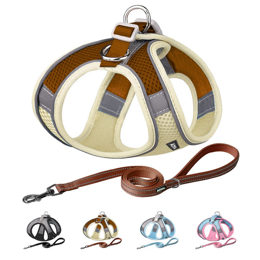 Step in Dog Harness and Leash Set - Dog Vest Harness with Super Breathable Mesh, Reflective No Pull Pet Harness for Outdoor Walking, Training for Extra Small Dogs, Cats Beige XXXS