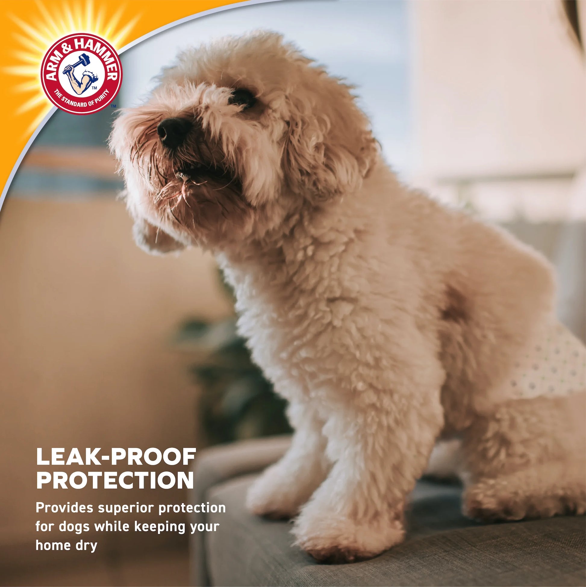 Male Dog Wraps, X-Small 12Ct | Super Absorbent with Baking Soda for Odor Control